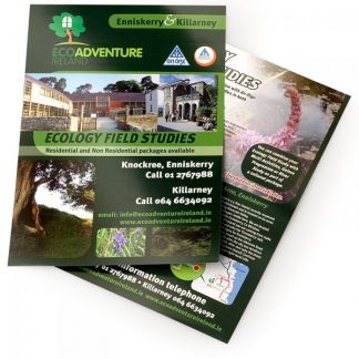 A4 Flyers